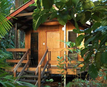Cape Trib Beach House YHA - ACT Tourism 4