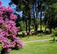 Figlea Cottages - ACT Tourism