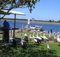 Mountain View Caravan and Mobile Home Village - ACT Tourism