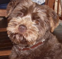 Lagoon Pocket Bed and Breakfast - ACT Tourism