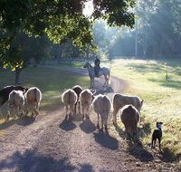 Brooloo Park - ACT Tourism