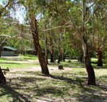 Woods Reserve - ACT Tourism