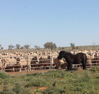 Pimpara Lake StationStay - ACT Tourism