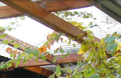 Cooma Bunkhouse Motel - ACT Tourism 2