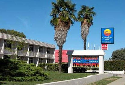 Comfort Inn Posthouse - ACT Tourism 0