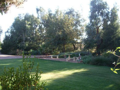 Wilga Park Cottage - ACT Tourism 4