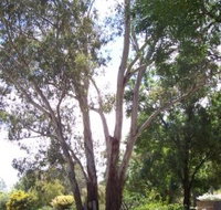 The Church House B and B - ACT Tourism