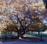 Hillview Oak Bed and Breakfast - ACT Tourism