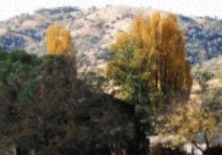 Birches Bed And Breakfast At Nundle - ACT Tourism 0