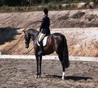 Laguna NSW ACT Tourism