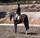 Apptrak Stud - ACT Tourism