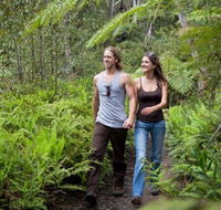 Blackheath Glen Tourist Park - ACT Tourism