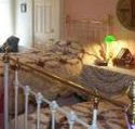 A Winter-Rose Cottage Bed and Breakfast - ACT Tourism
