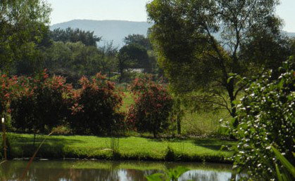 Amazing Country Escapes - Evanslea By The River - ACT Tourism 4