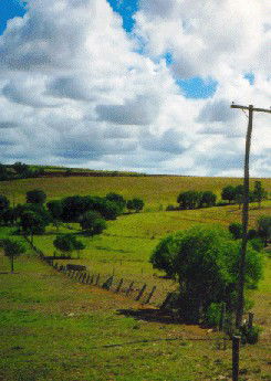 Mango Hill Cottages Bed And Breakfast - ACT Tourism 2