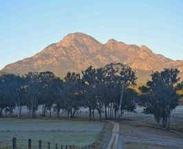 Barney Creek Vineyard Cottages - ACT Tourism 5