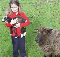 Cinnamon Coloureds Farmstay - ACT Tourism