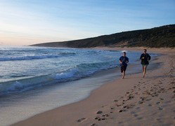 Karri Patch Cottage - ACT Tourism 1