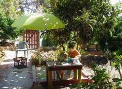 Karri Patch Cottage - ACT Tourism 3