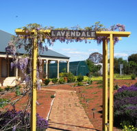 Lavendale Farmstay and Cottages - ACT Tourism