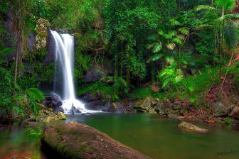 Amber Lodge Bed & Breakfast Tamborine Mountain - ACT Tourism 2