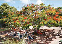 Barnacles Backpackers - ACT Tourism 1