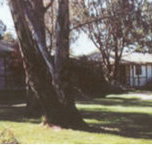 Winbi River Resort - ACT Tourism