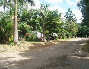 Cape Hillsborough Nature Resort - ACT Tourism 4