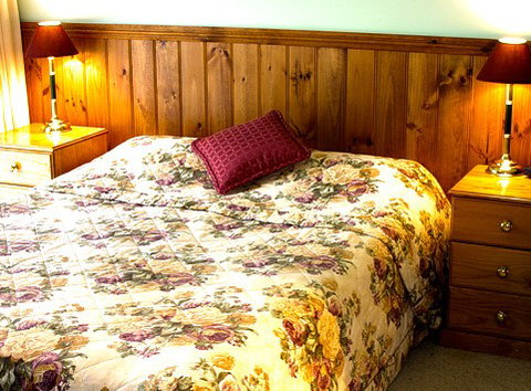 Mountain View Motor Inn And Holiday Lodges - ACT Tourism 1