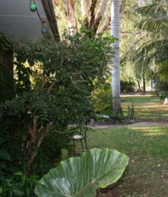 Douglas Daly Holiday Park - ACT Tourism 1