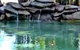 Douglas Daly Holiday Park - thumb 2