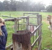 Boronia Farm Farmstay - ACT Tourism