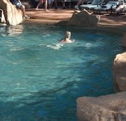 Undara Experience Lava Lodge - ACT Tourism