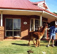 Brilea Cottages - ACT Tourism