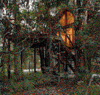 Wanderers Retreat Port Stephens - ACT Tourism
