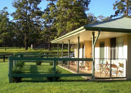 Neds Bed Horse O Tel - ACT Tourism 1