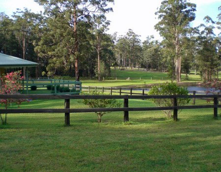 Neds Bed Horse O Tel - ACT Tourism 2