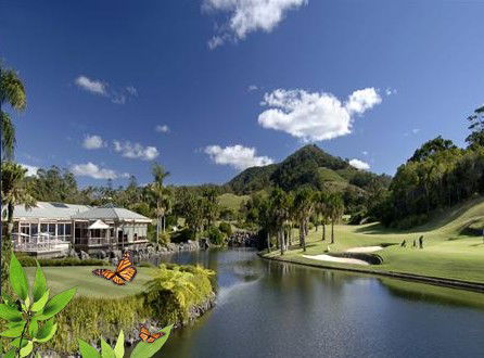 Absolute Beachfront Novotel Pacific Bay - ACT Tourism 2