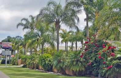 Forster Palms Motel - ACT Tourism 2