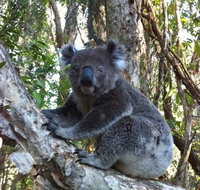 O'Carrollyns At One Mile Beach - ACT Tourism