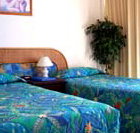 International Beach Resort - ACT Tourism
