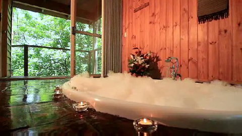 Tree Houses Of Montville - ACT Tourism 0