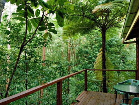 Tree Houses Of Montville - ACT Tourism 3