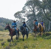 Pender Lea - ACT Tourism