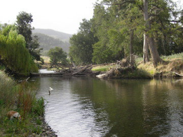 Wee Jasper Station Accommodation - ACT Tourism 0