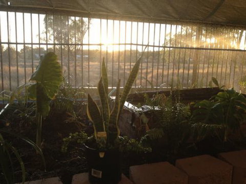 Cityside Accommodation | Mt Isa - ACT Tourism 5