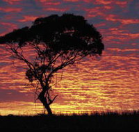 Kimba Caravan Park amp Motel - ACT Tourism