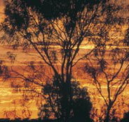 Tilmouth Well - ACT Tourism