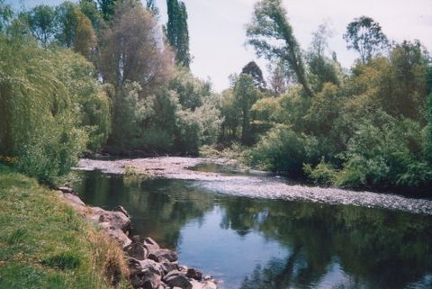 Boutique Motel Sefton House - ACT Tourism 7