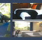 The Albany - ACT Tourism